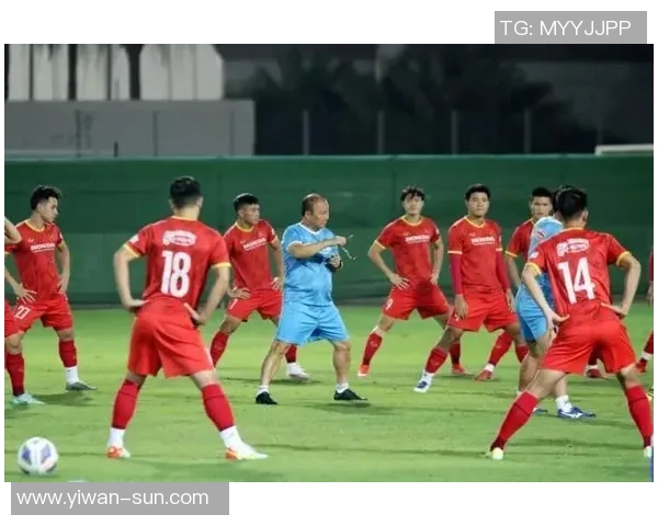 深圳足球队总决赛战术分析与表现评估深入解读