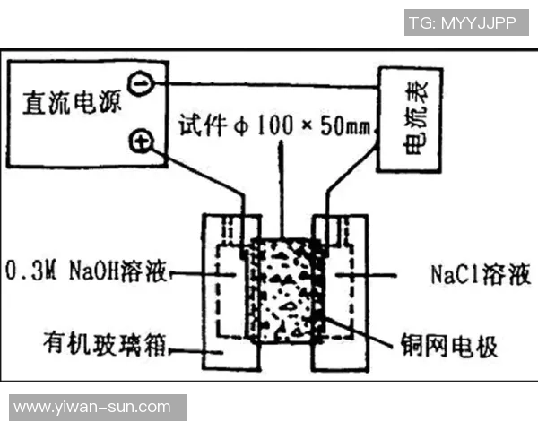 重庆羽毛球队边路渗透战术分析及其对比赛结果的影响探讨