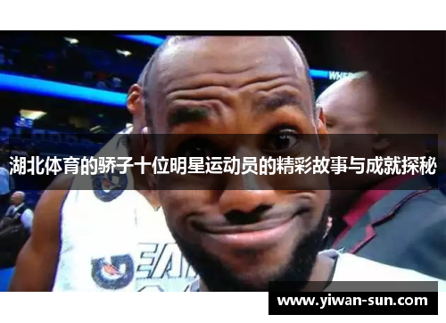 湖北体育的骄子十位明星运动员的精彩故事与成就探秘